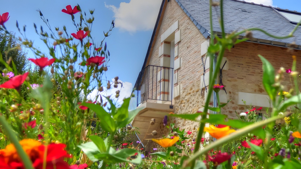Photo of Outdoor in Fougere