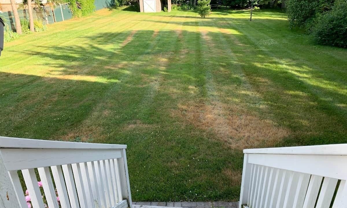 Photo of Others in Bloomfield