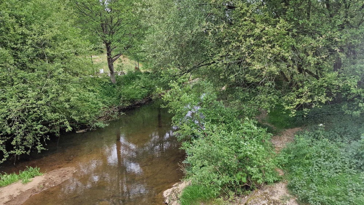 Photo of Others in Saint-Berthevin