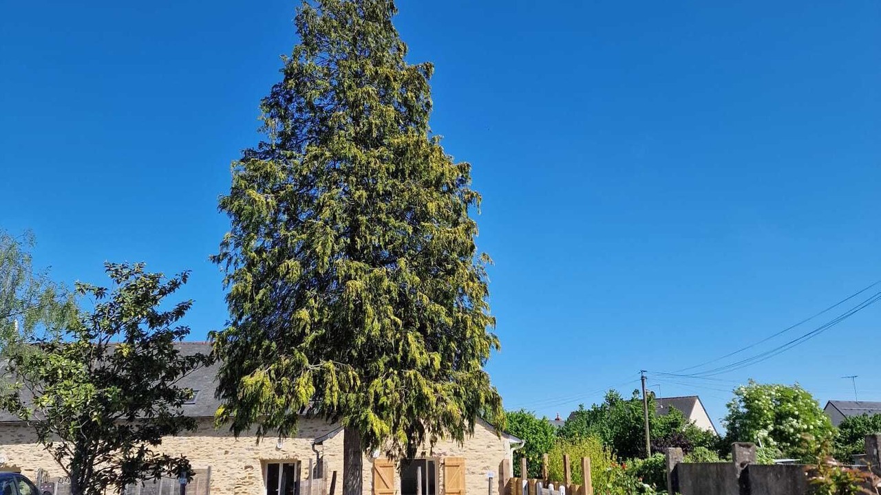 Photo of Others in Saint-Berthevin