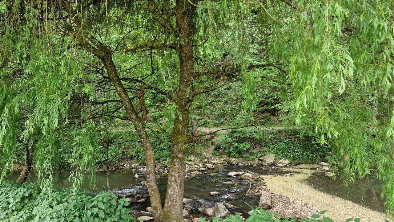 Photo of Others in Saint-Berthevin