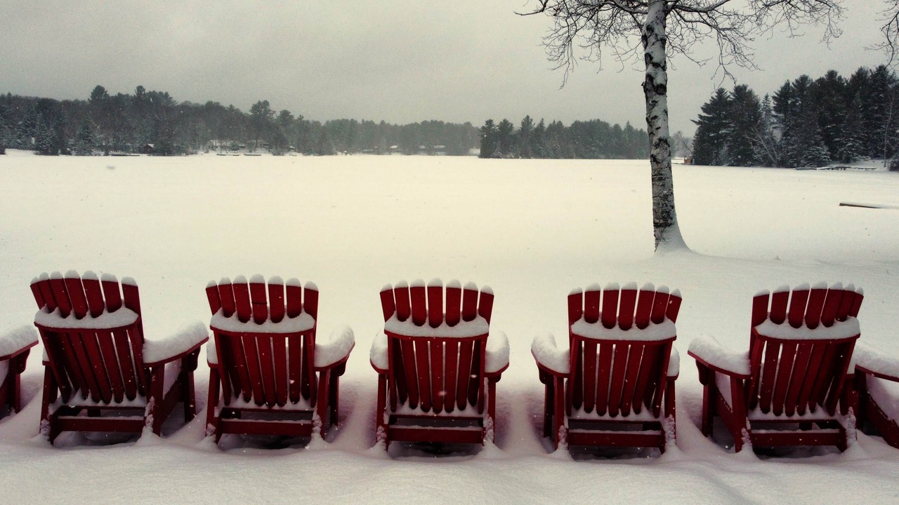 Photo of Others in Scotia