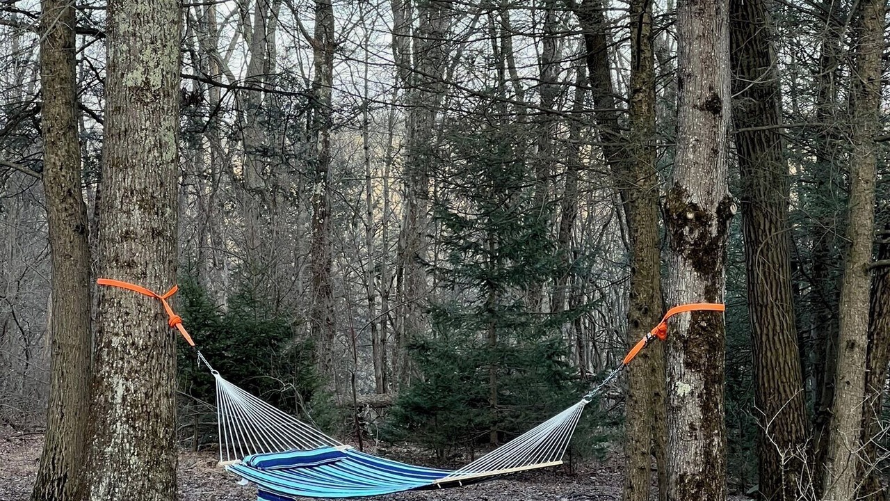 Photo of Others in Canadensis