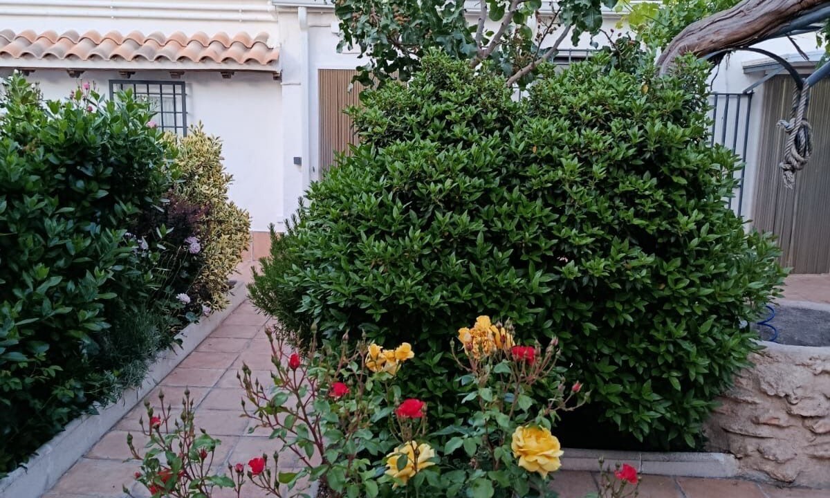 Photo of Outdoor in Arenales de San Gregorio