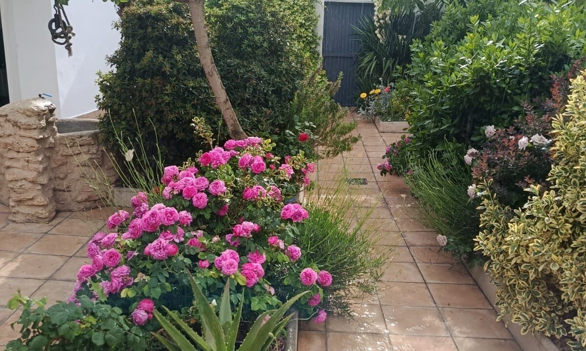 Photo of Outdoor in Arenales de San Gregorio
