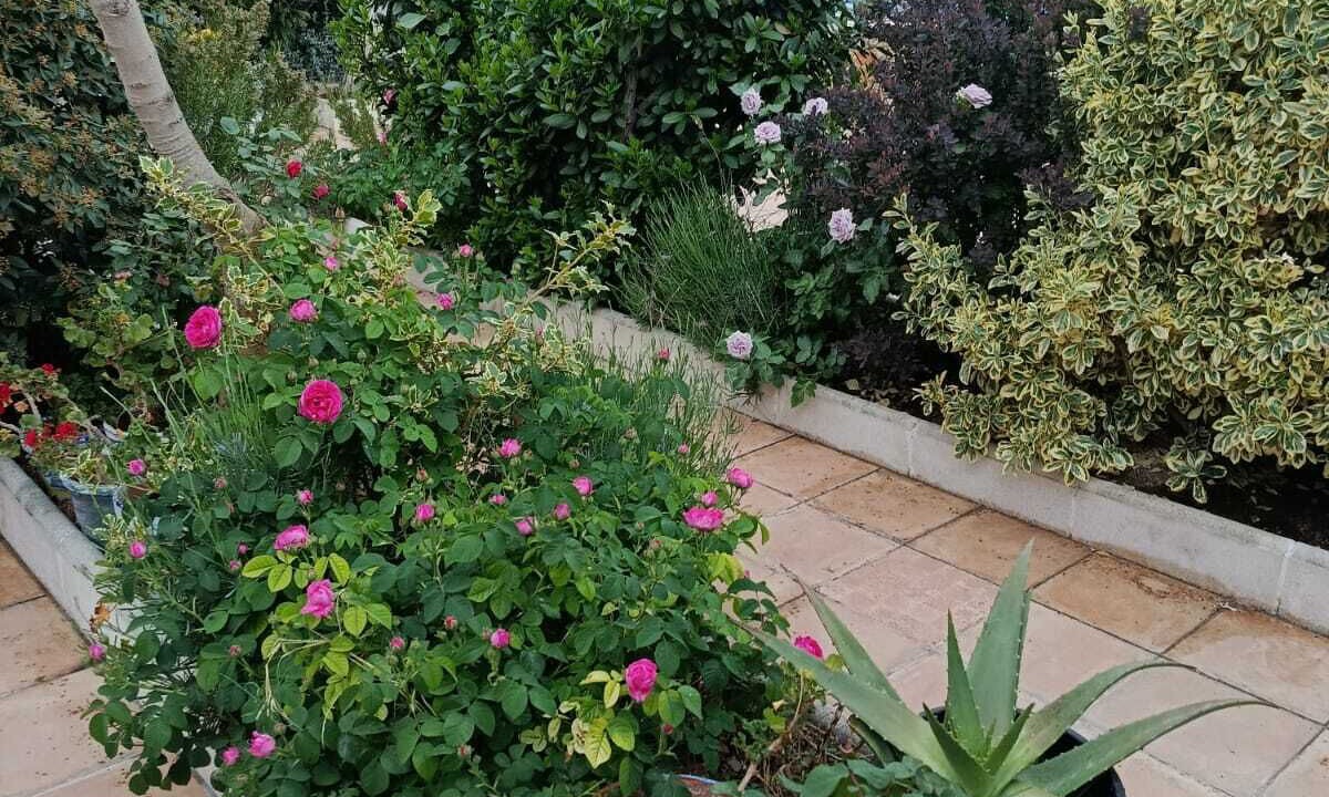 Photo of Outdoor in Arenales de San Gregorio