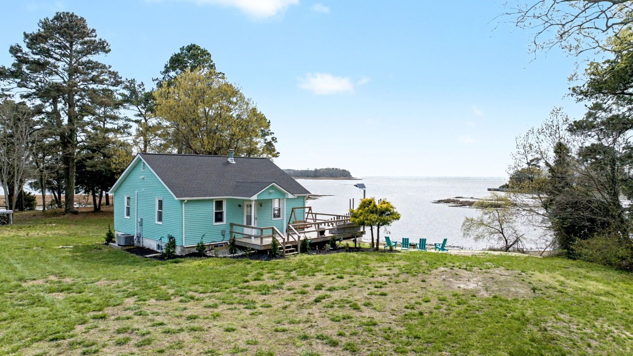 Photo of Outdoor in Birdsnest