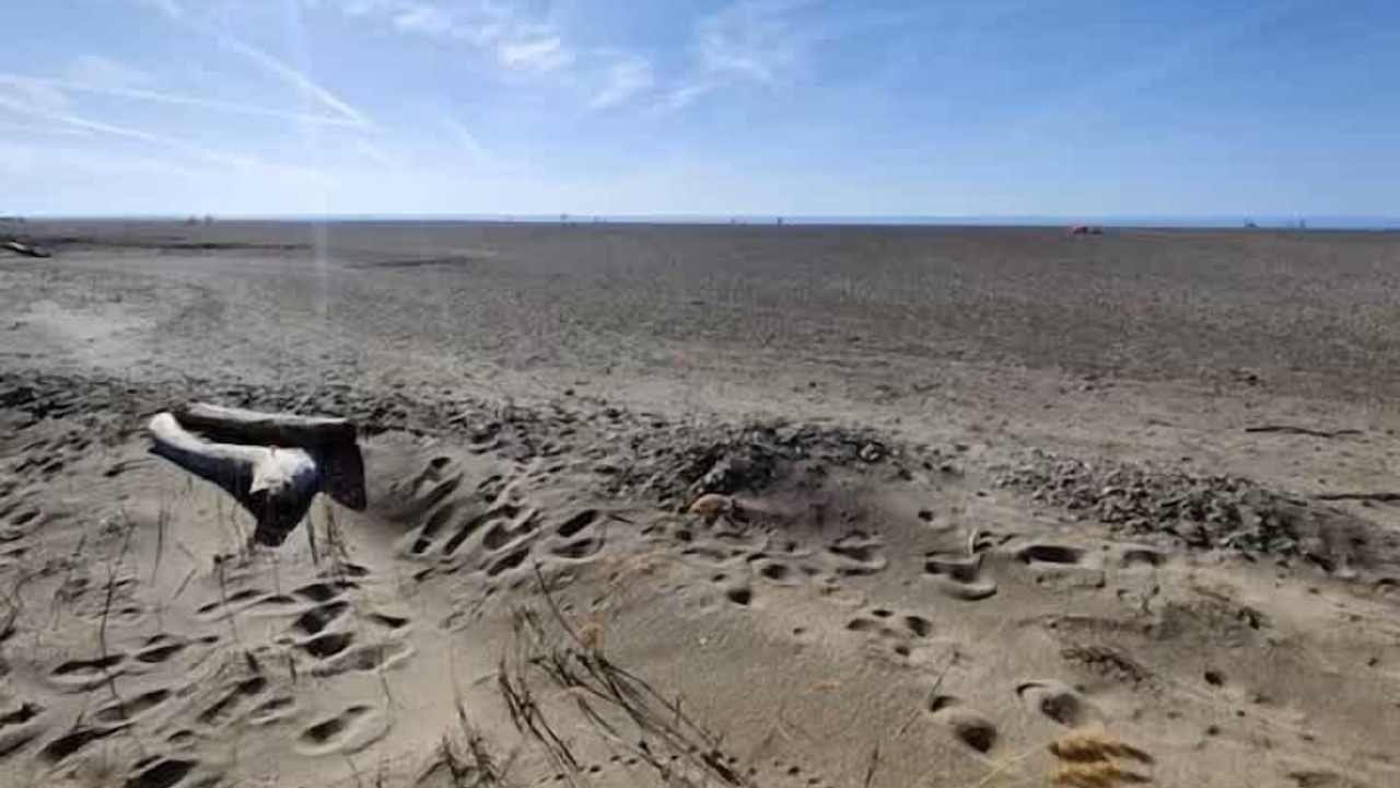 Photo of Others in Mentor Headlands