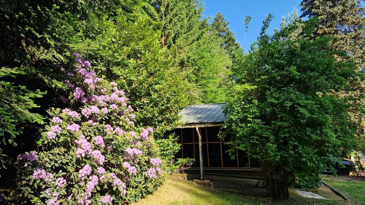 Photo of Outdoor in Saint-Sauveur