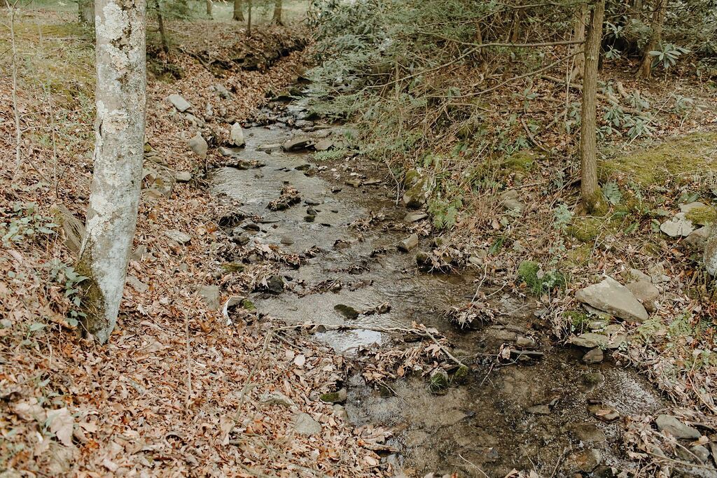 Photo of Others in Millerstown