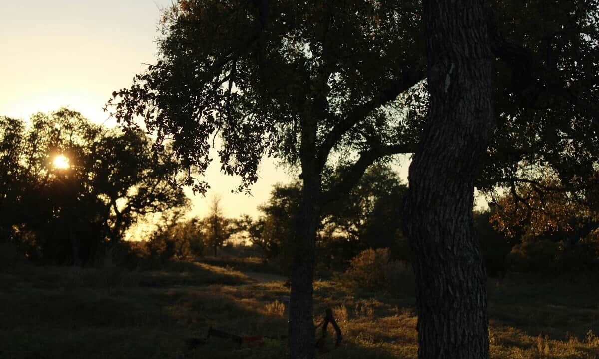 Photo of Others in Marble Falls