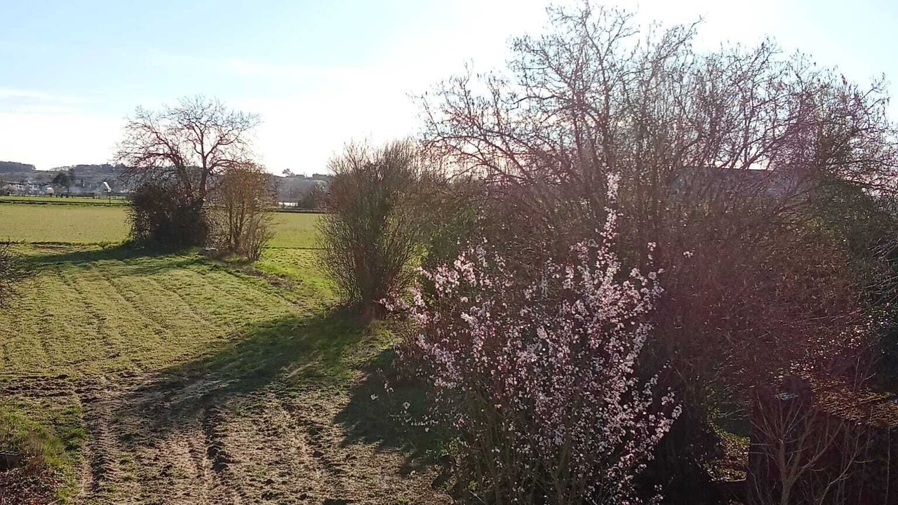 Photo of Outdoor in Villebernier