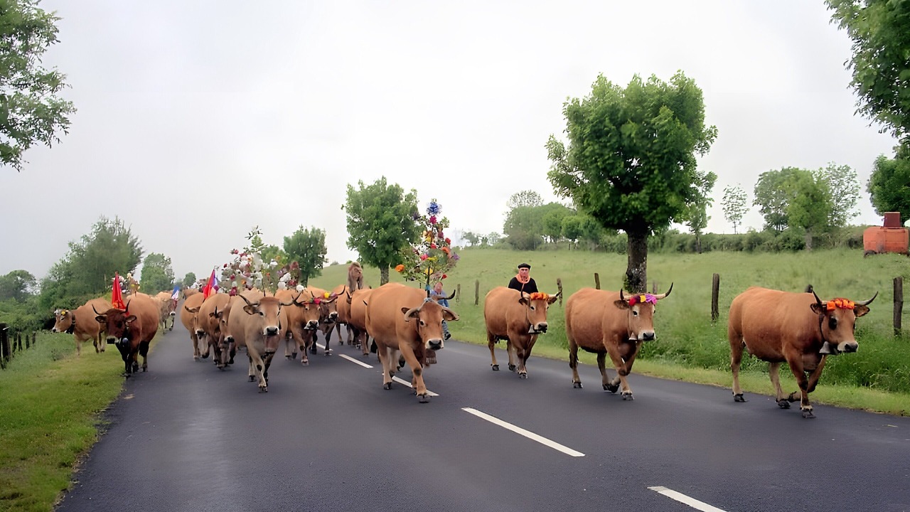 Photo of Others in Castelnau-de-Mandailles