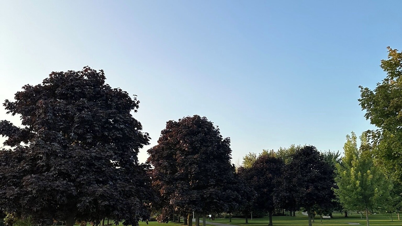 Photo of Others in Ajax