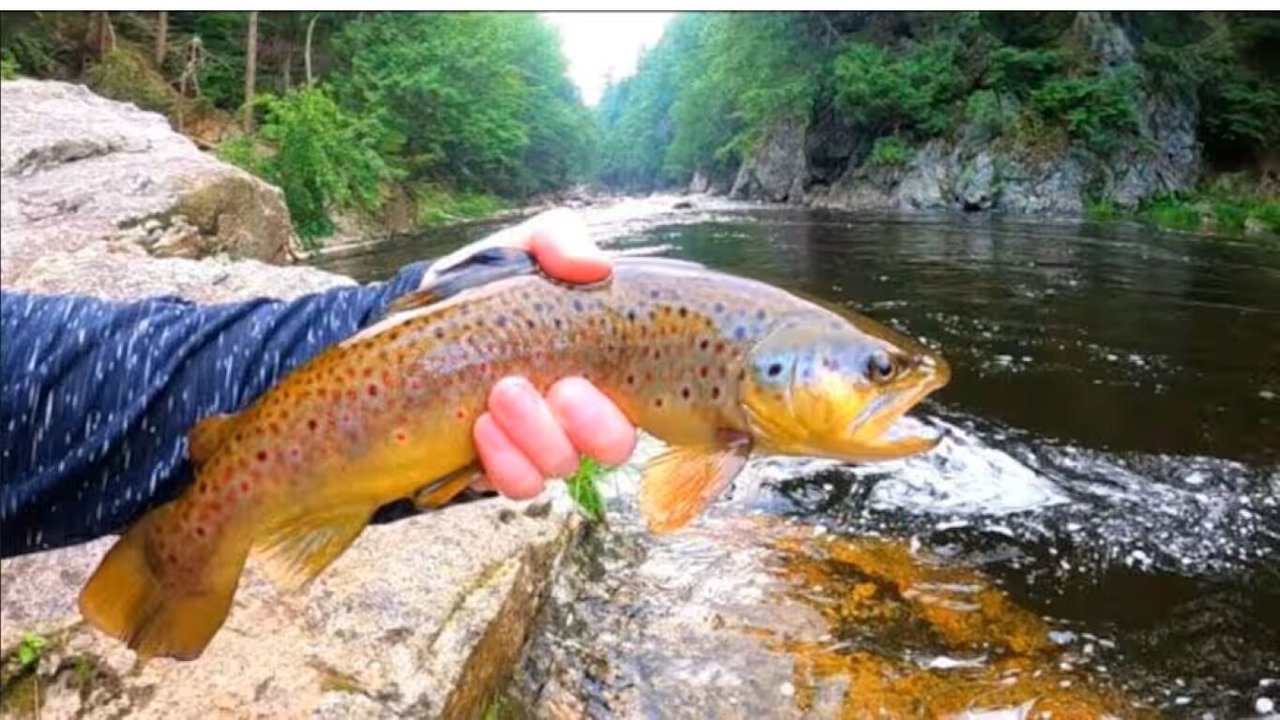 Photo of Others in Keeseville