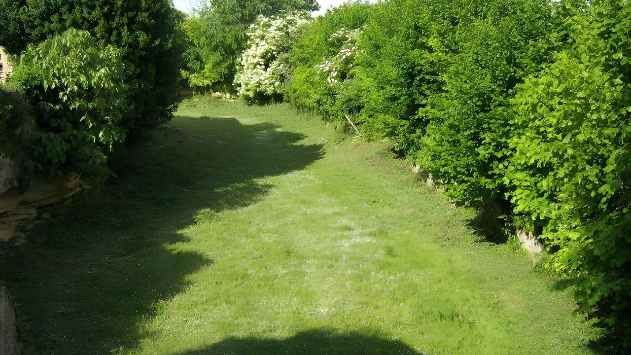 Photo of Outdoor in Daignac