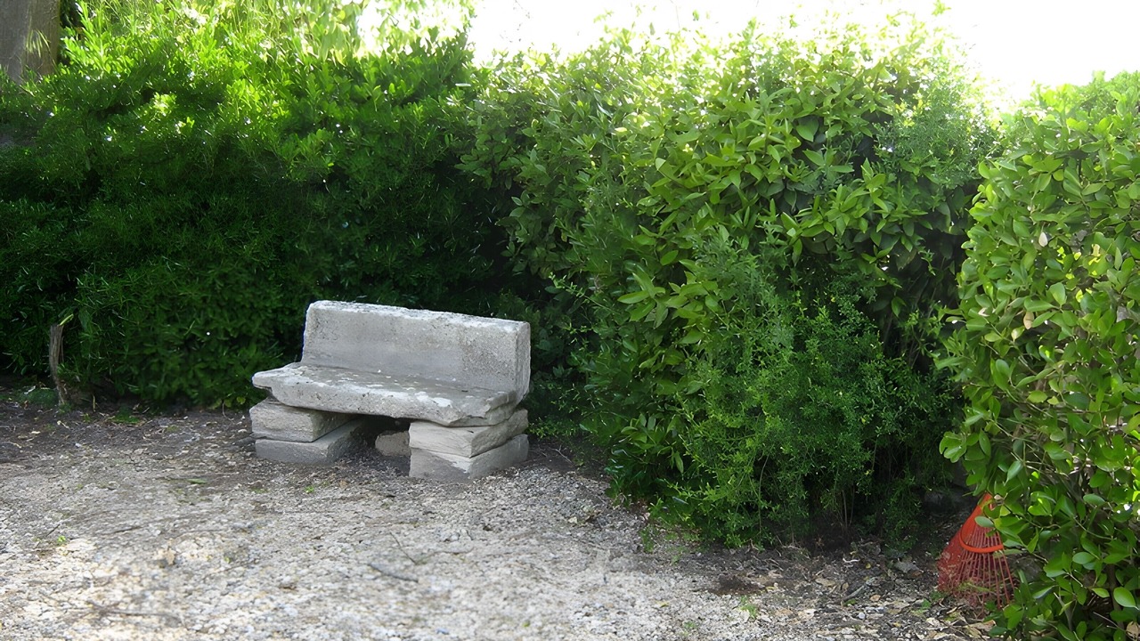 Photo of Outdoor in Daignac