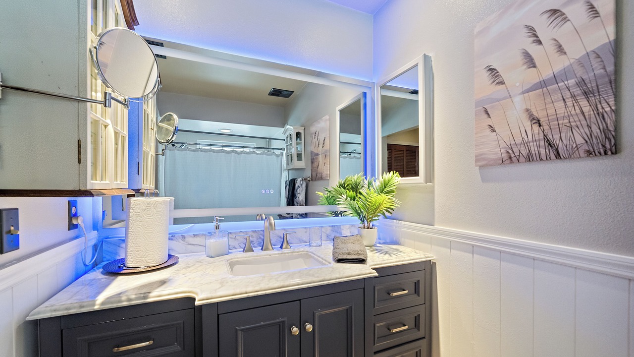 Photo of Bathroom in Lake Sarasota