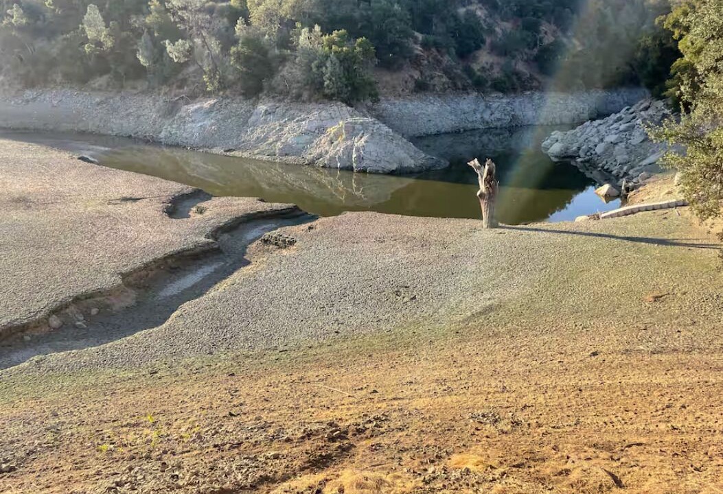 Photo of Others in Paso Robles
