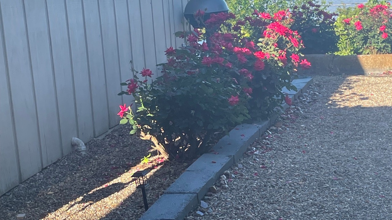 Photo of Outdoor in Saratoga