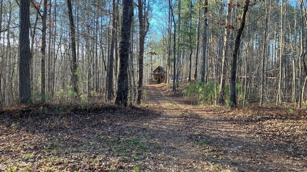 Photo of Others in Muscadine