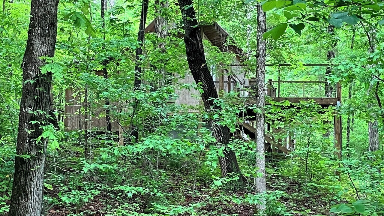 Photo of Others in Muscadine