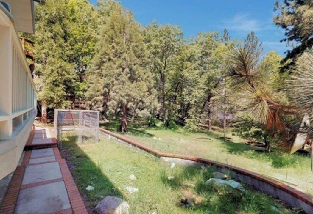 Photo of Outdoor in Running Springs