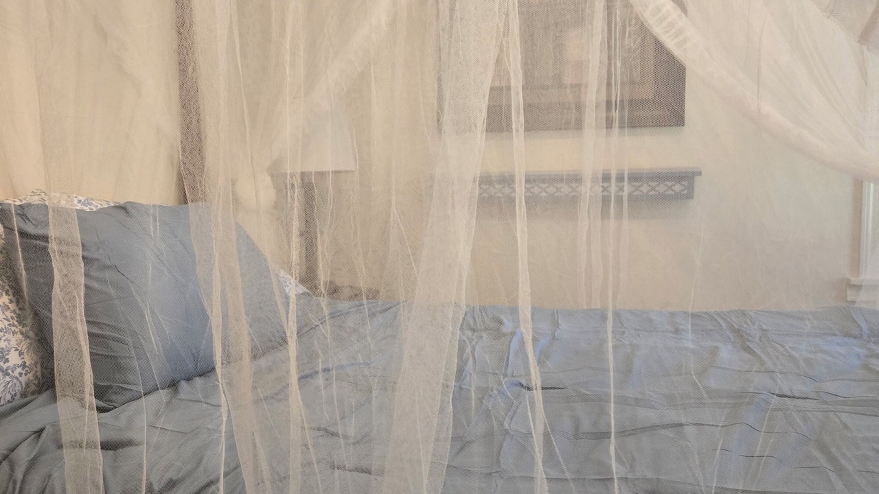 Photo of Bedroom in Raleigh