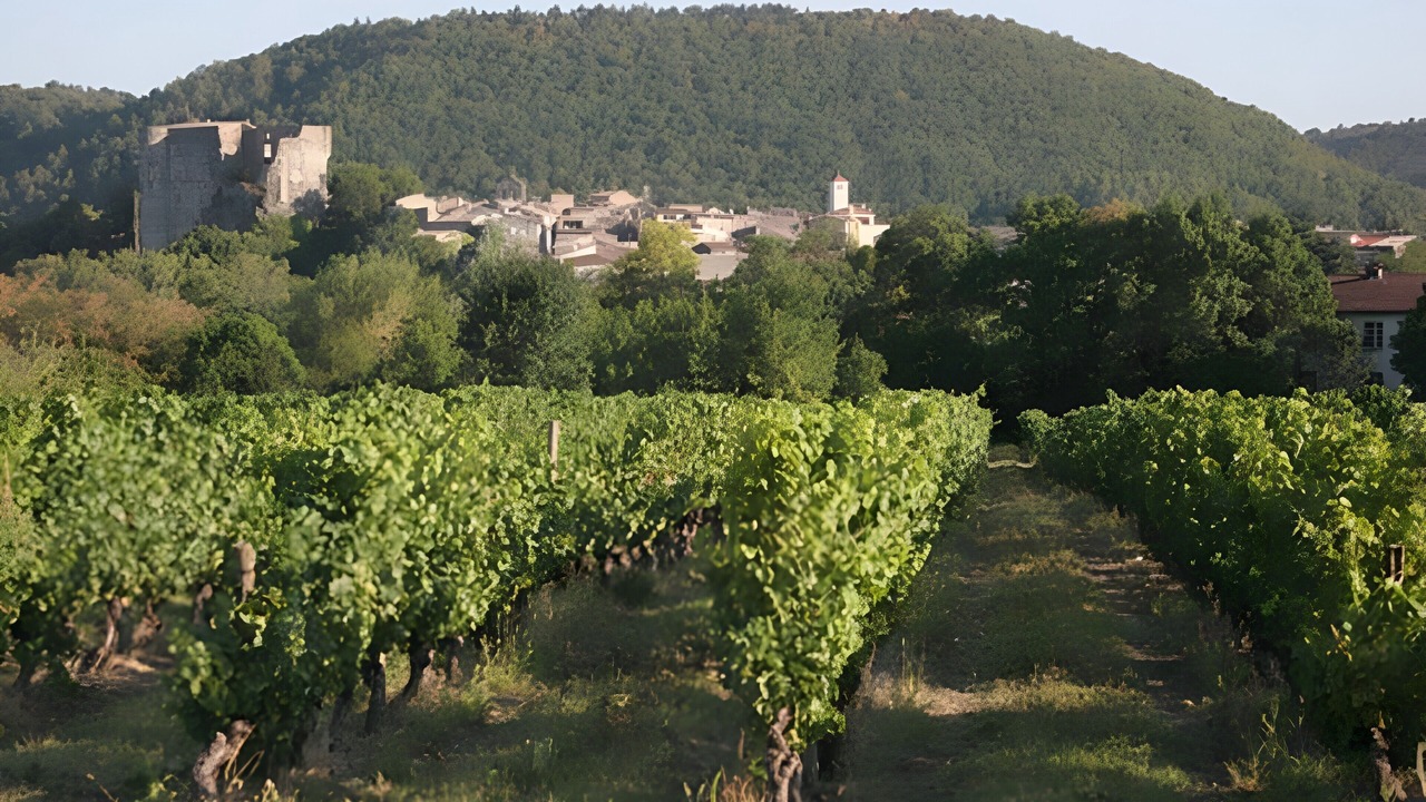 Photo of Others in Saint Alban Auriolles