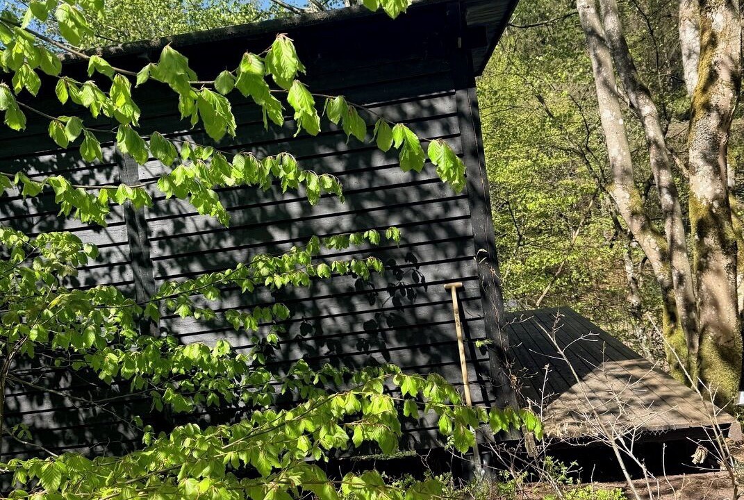 Photo of Outdoor in Them
