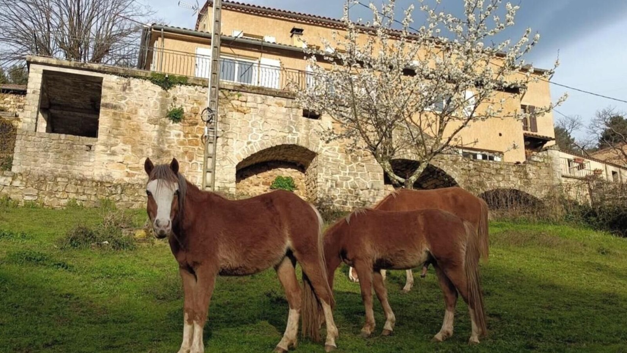 Photo of Others in Largentiere