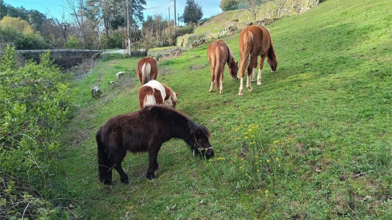 Photo of Others in Largentiere