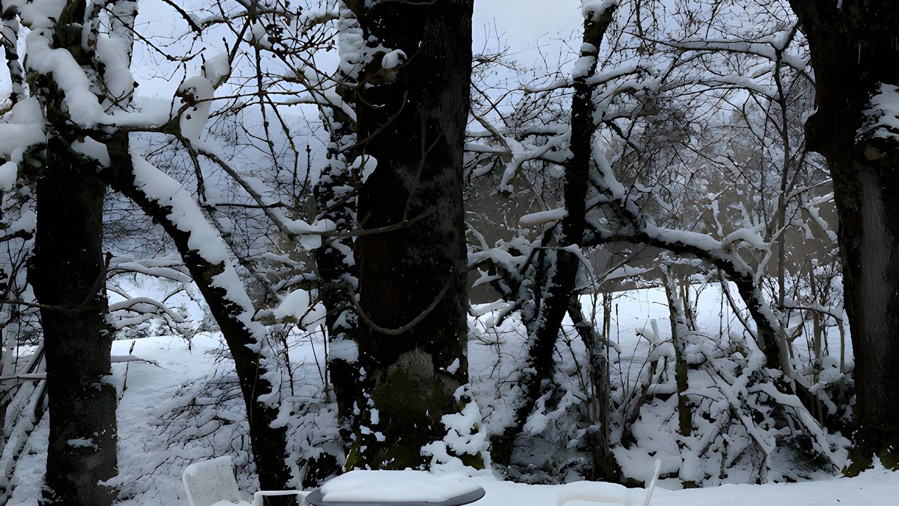 Photo of Outdoor in Onnion