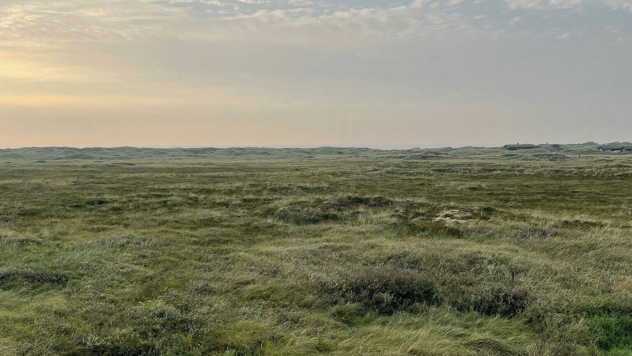 Photo of Others in Rødhus