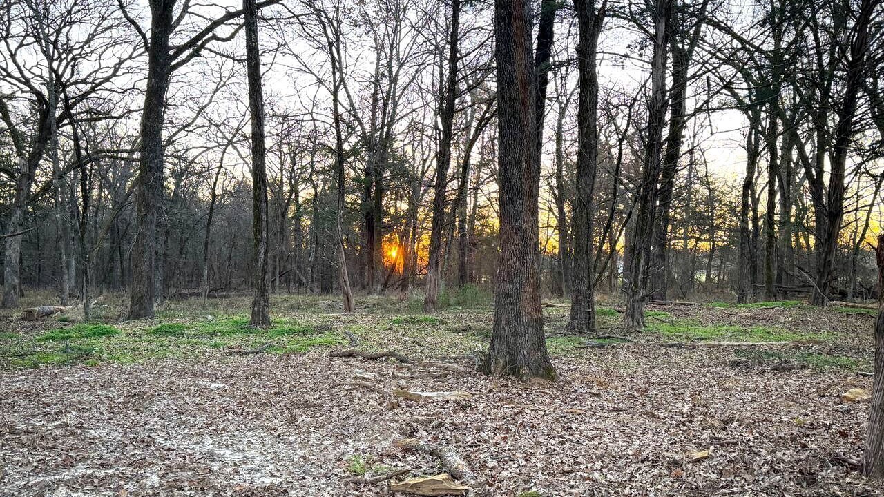 Photo of Others in Miller Grove
