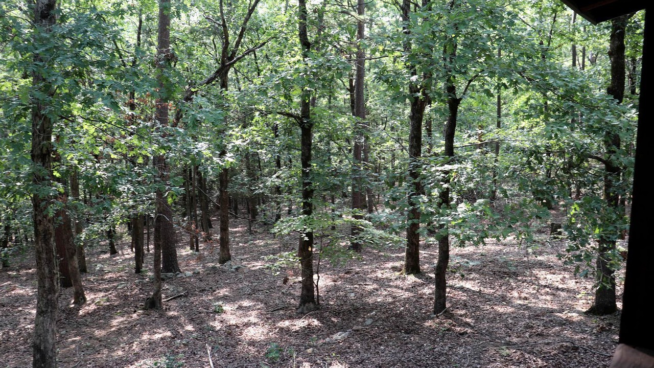Photo of Others in Pleasant Grove