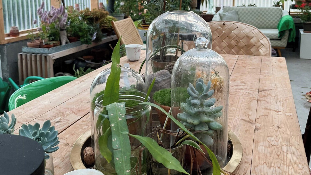 Photo of Outdoor in Samsø