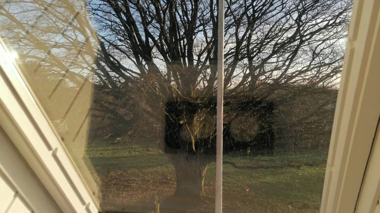Photo of Others in Haderslev
