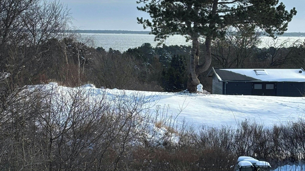 Photo of Others in Klint