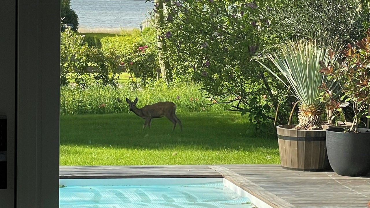 Photo of Outdoor in Holbaek