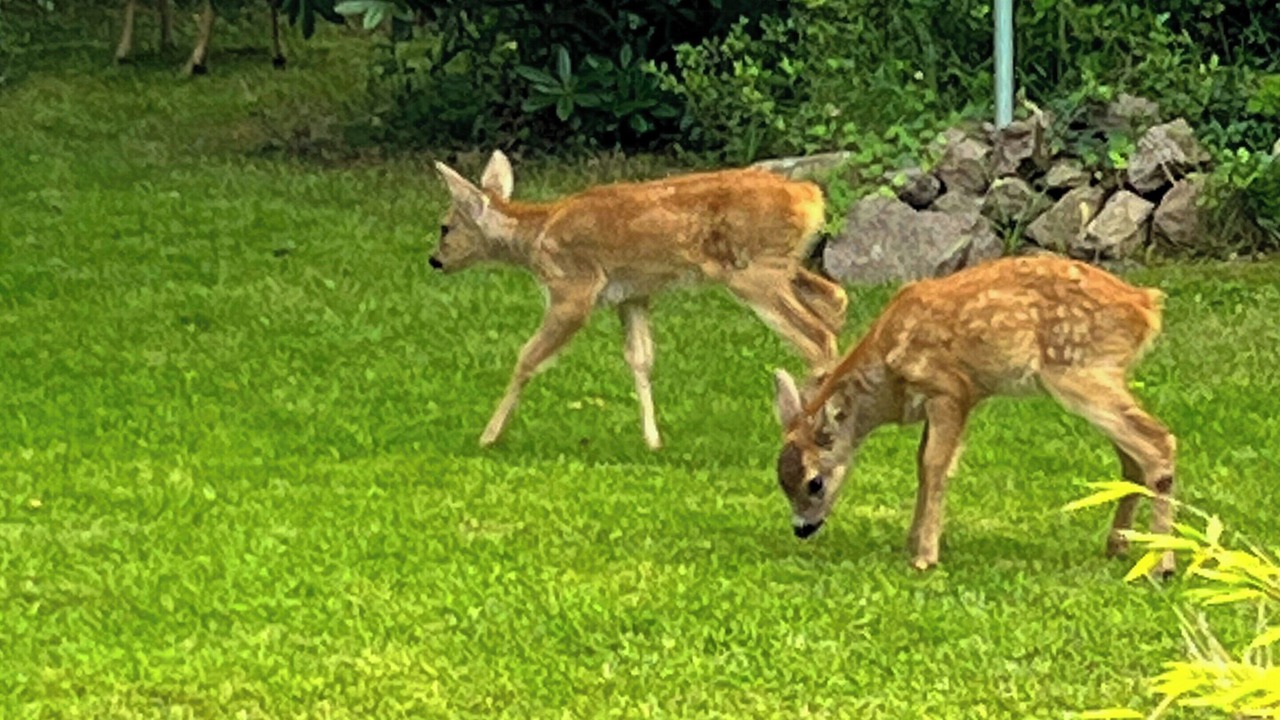 Photo of Others in Karrebksminde