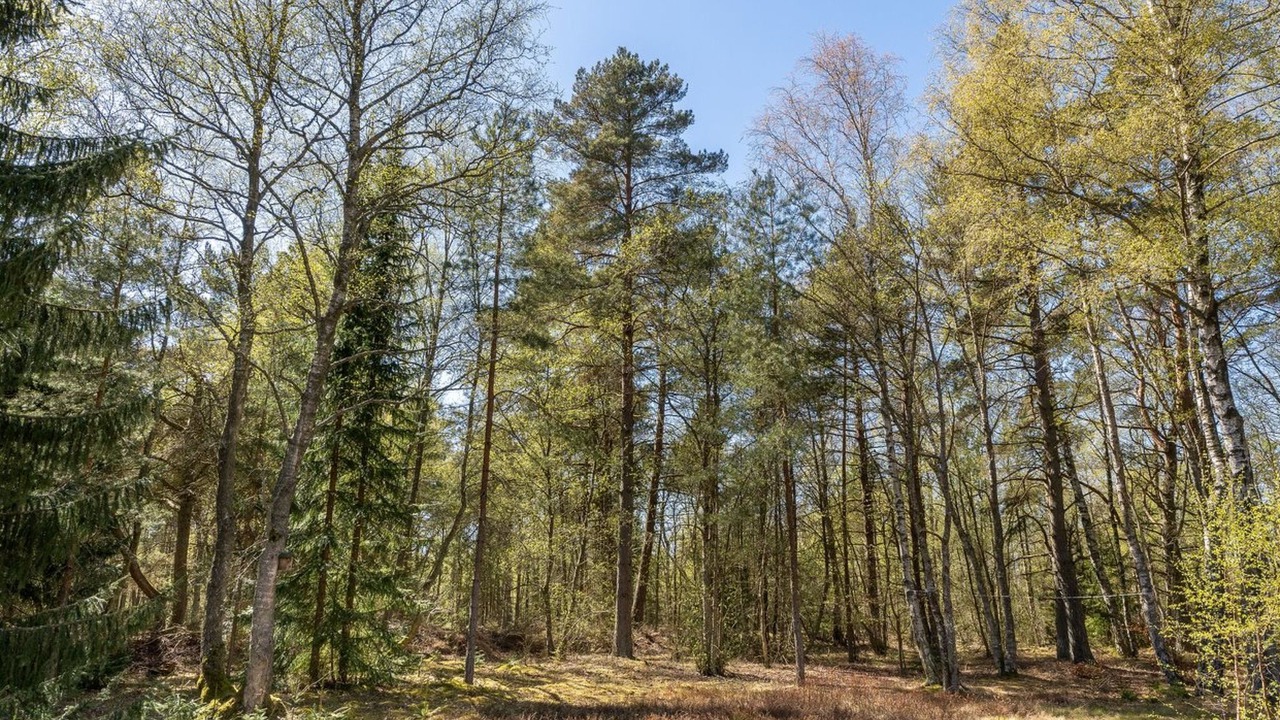 Photo of Outdoor in Læsø