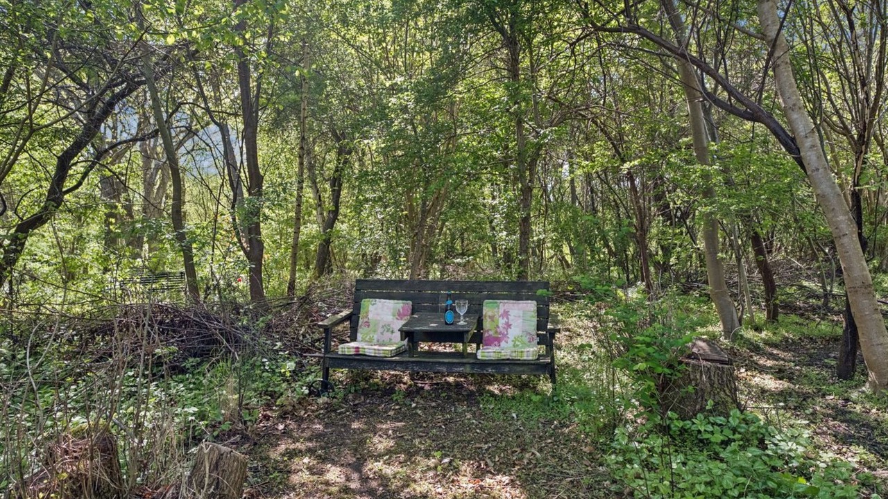 Photo of Others in Hoeve Strand