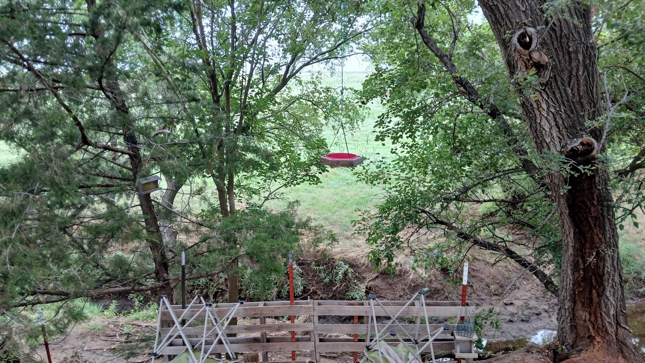 Photo of Outdoor in Corn