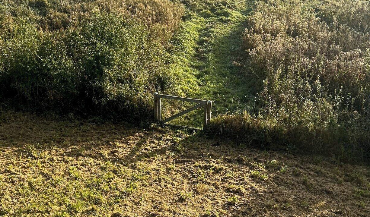 Photo of Others in Samsø