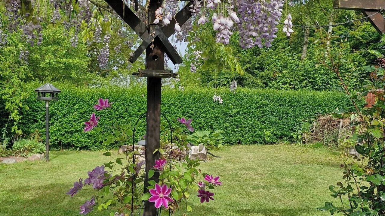 Photo of Outdoor in Harpelunde