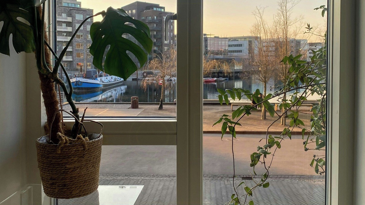 Photo of Others in Sydhavnen