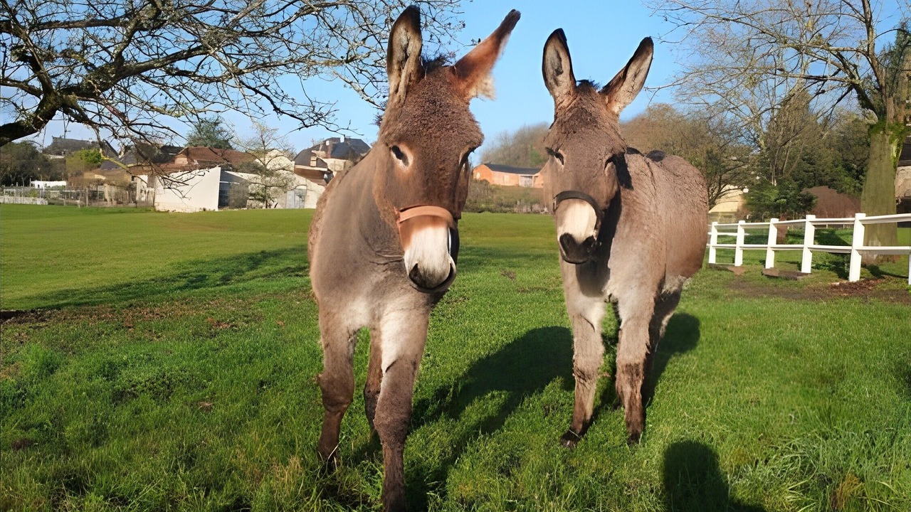 Photo of Others in Peyrignac