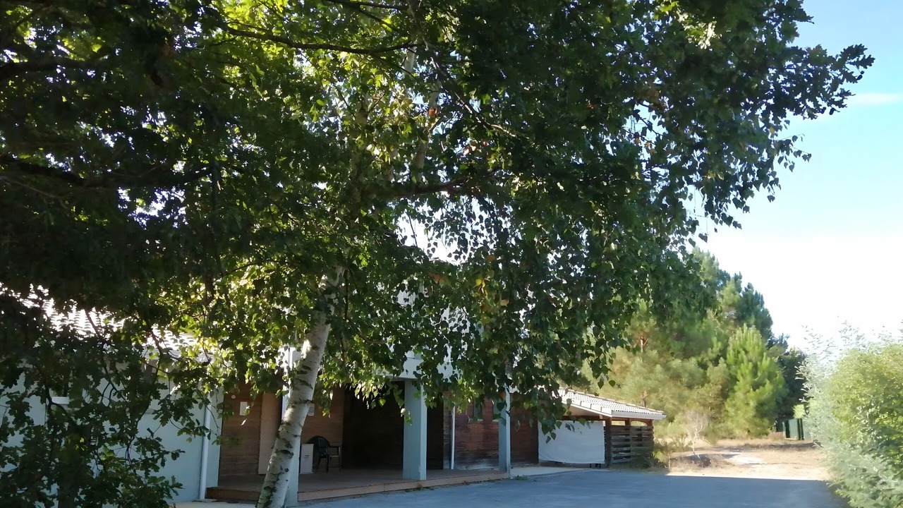 Photo of Outdoor in Sanguinet