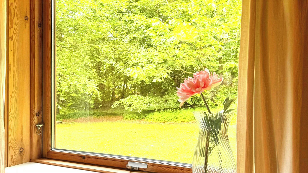 Photo of Others in Hadsund